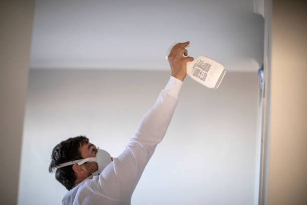 Best Local Mold Removal Service  in Lutherville, MD