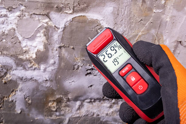 Best Attic Mold Removal  in Lutherville, MD