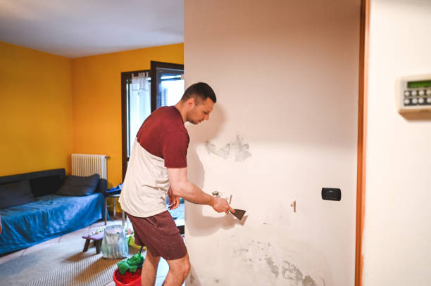 Home Mold Removal in Lutherville, MD